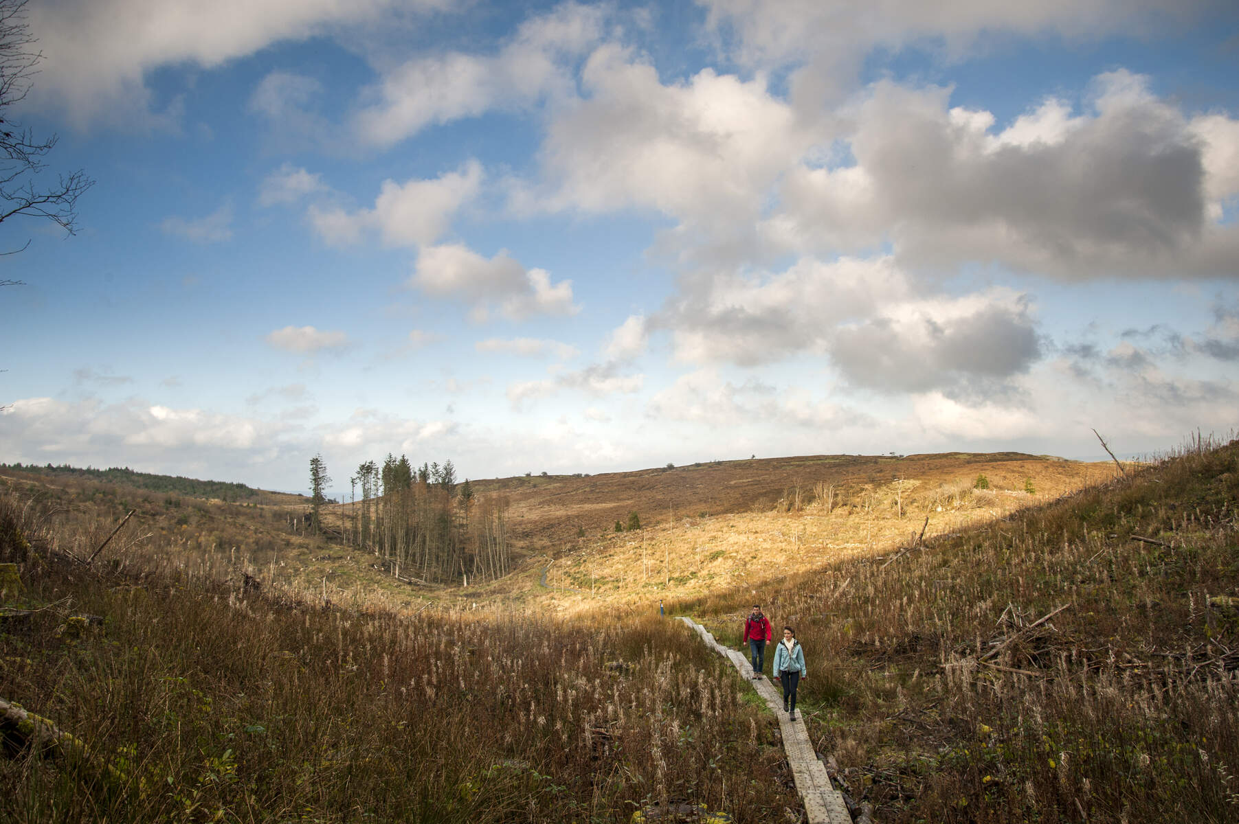 Cavan Burren Park_web-size_2500x1200px copy 2