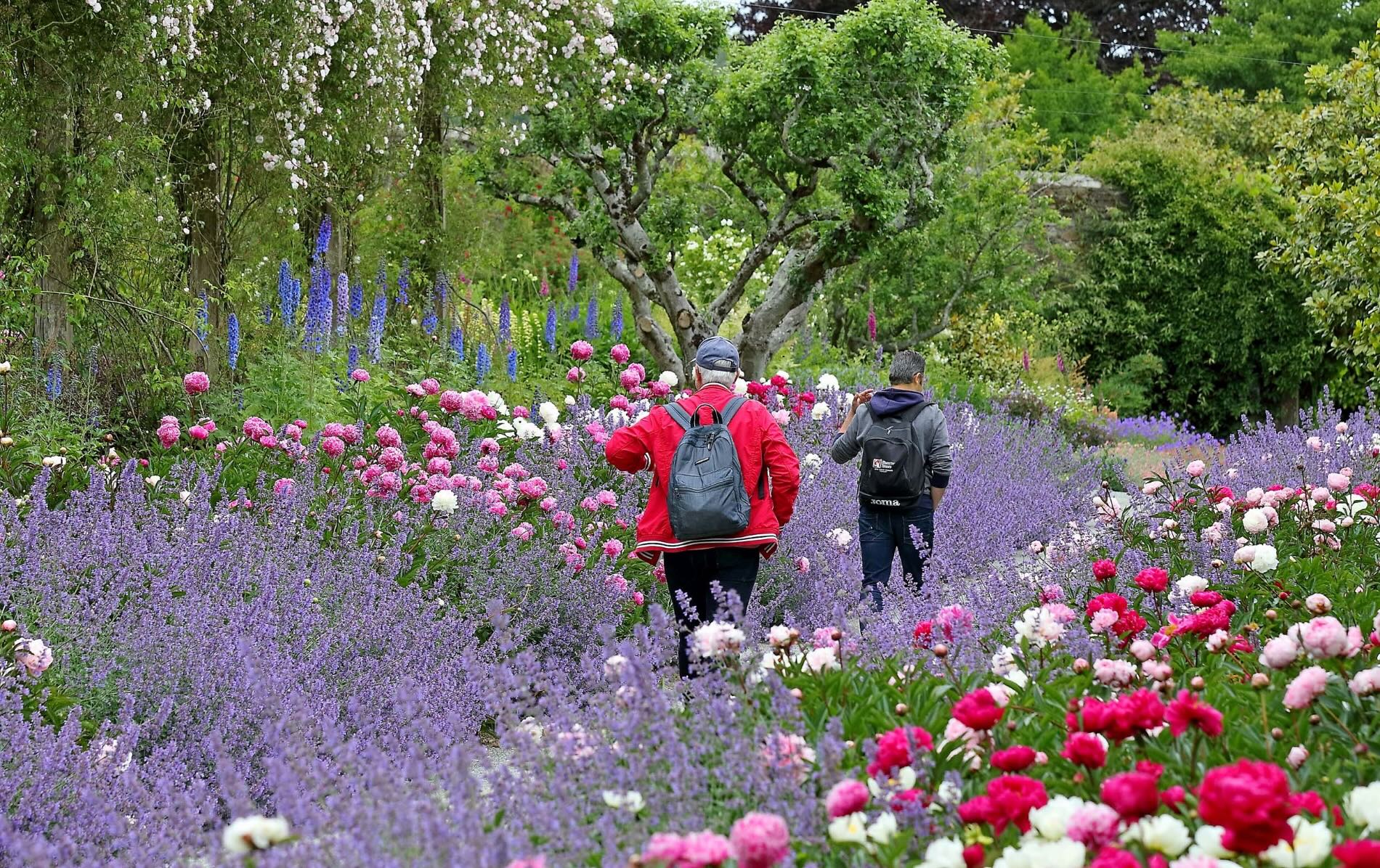 mountcongrevegardenscowaterfordflowersv2