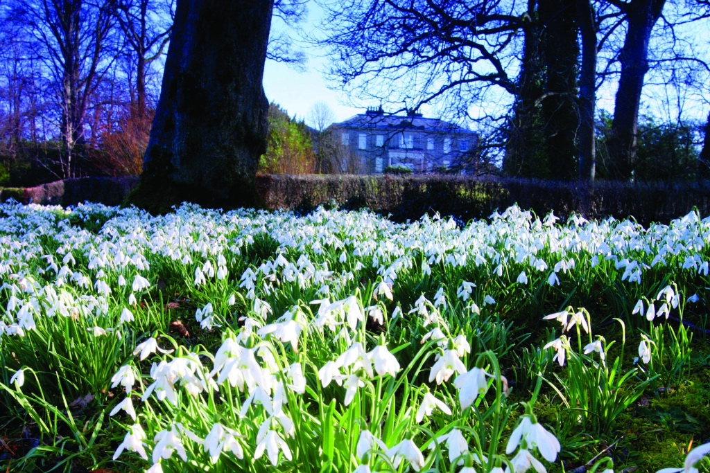 The Argory - Body