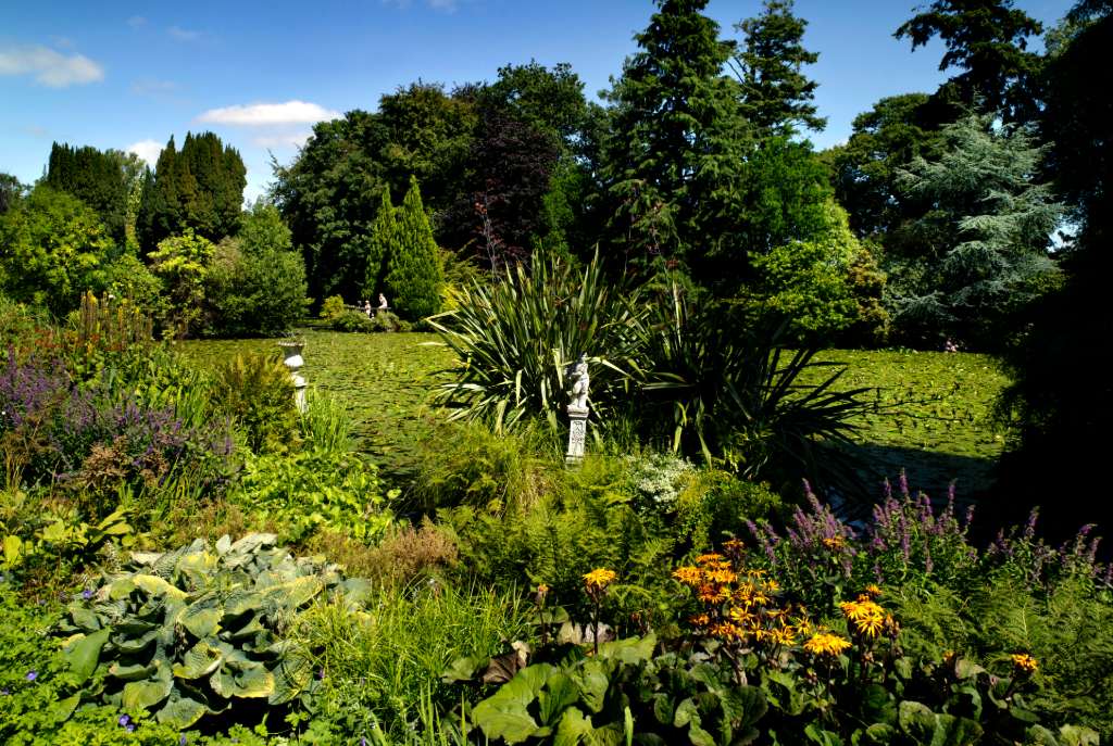Vibrant greenery and flowers surrounding a lily-covered pond in Altamont Garden, Carlow.