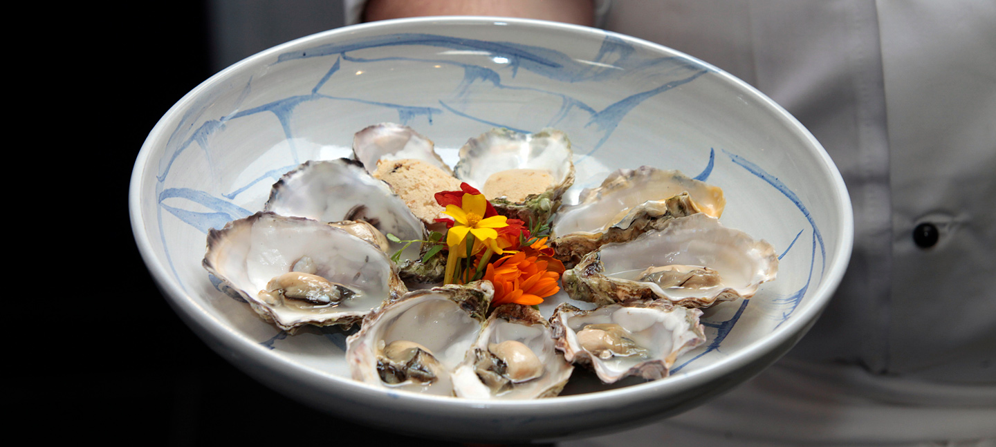 Plate of oysters
