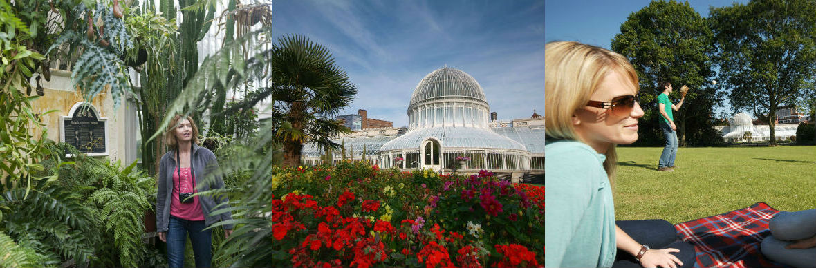 belfast-nature-strip-botanic