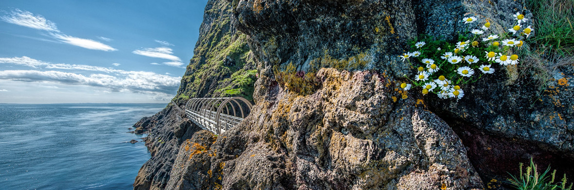 The Gobbins, County Antrim