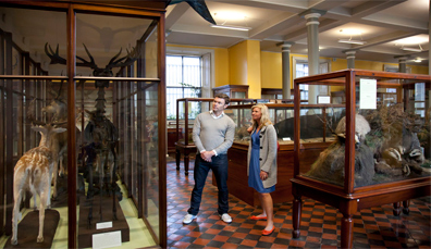 museums-natural-history-two