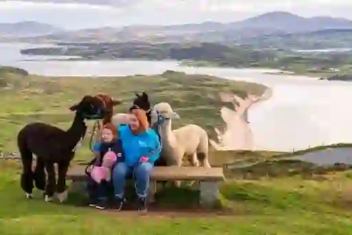 alpacas-north-west-trip-idea-inset-10