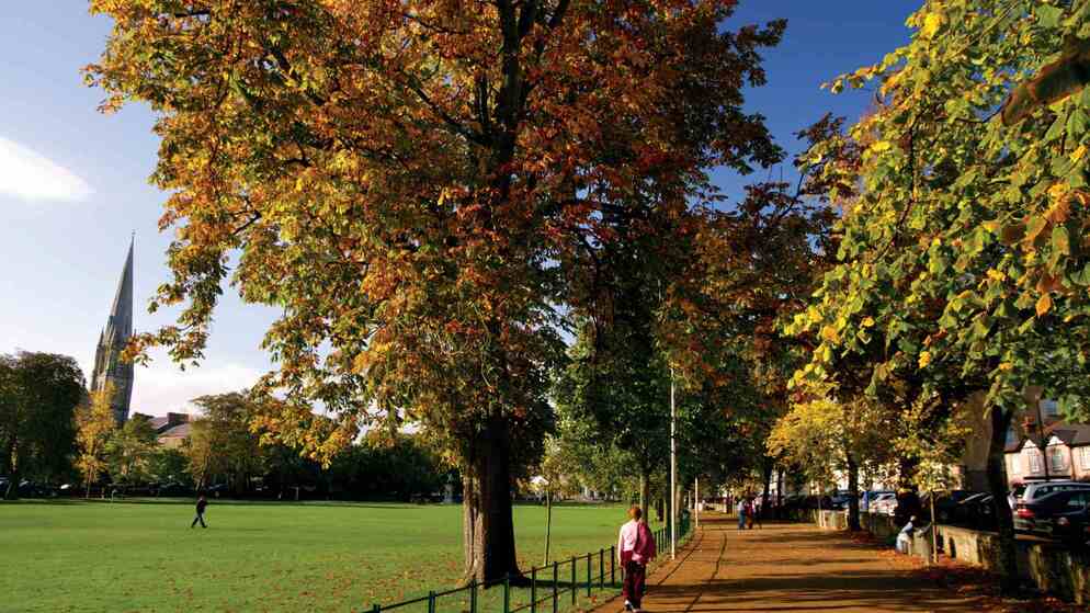 Tree-lined walkway in Armagh with autumn leaves, pedestrians, and the spire of St Patrick’s Church in the background.