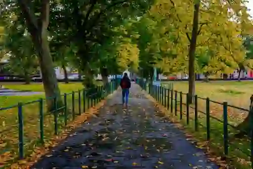 Person walking along a leaf-covered path between trees in the Mall, Armagh, during early autumn.