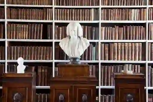 Bust of a judge in white marble displayed in front of antique bookshelves inside Armagh Robinson Library.