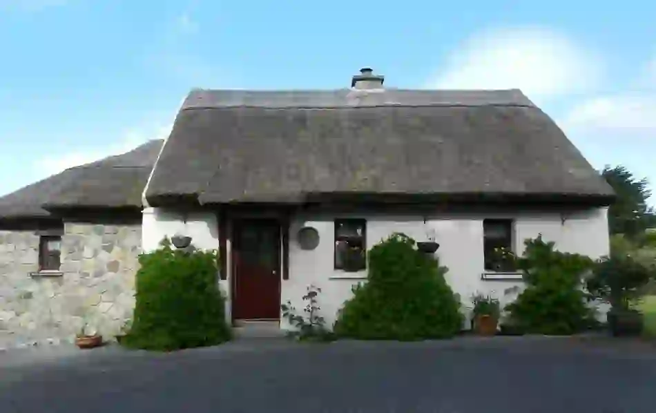 Whitewashed thatched cottage with stone wall extension and potted plants outside in County Galway.