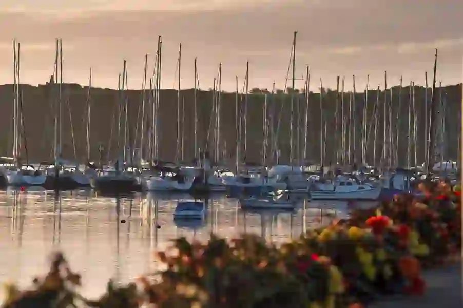 Kinsale Harbour CoWeb Size