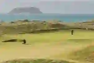 Golfer putting on links course with dunes and sea views at Portnoo Golf Club, County Donegal.