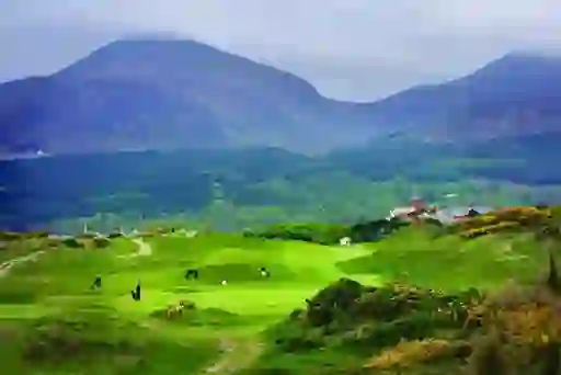 Vibrant green fairways framed by gorse and mountains, with golfers playing against a dramatic misty backdrop.