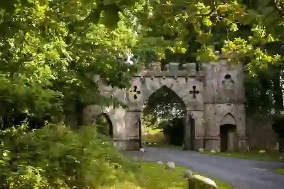 Tollymore Forest Park, County Down