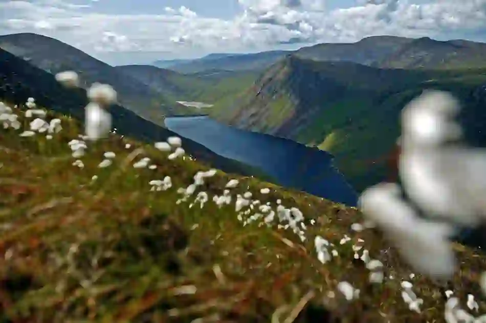 Mourne-Mountains-aerial