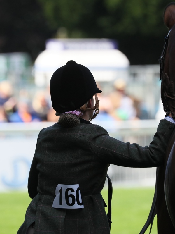 Dublin Horse Show, County Dublin