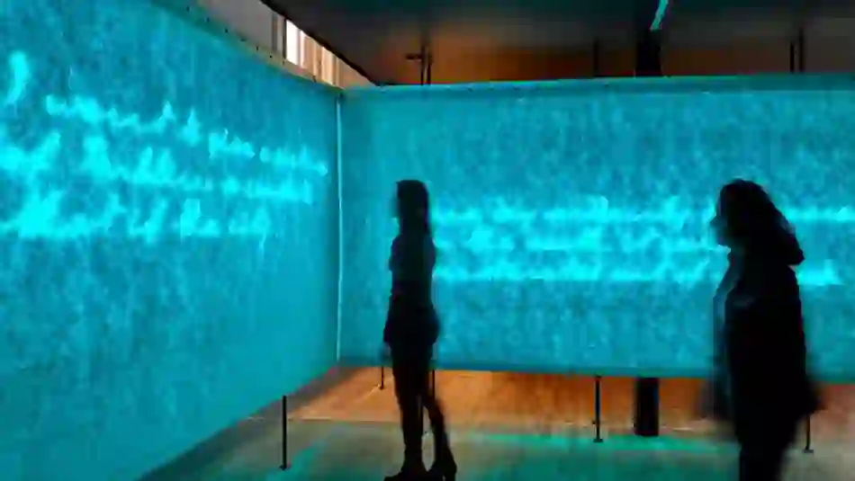 Silhouetted woman reads glowing blue text in an immersive installation at the Museum of Literature Ireland (MoLI).
