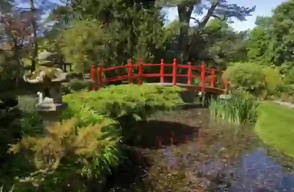 Irish National Stud and Japanese Gardens, County Kildare