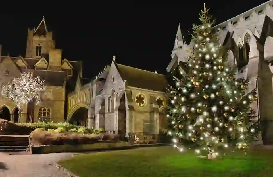 Christ Church Cathedral with Christmas lights and decorated tree in Dublin at night.