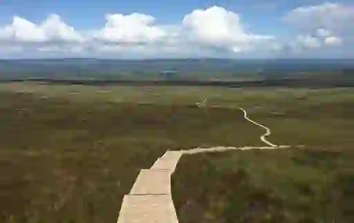 Cuilcagh Boardwalk Trail_master