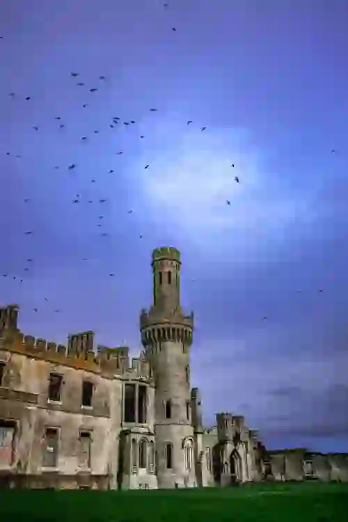 gallery-castles-ducketts-grove-carlow-birds-shutterstock