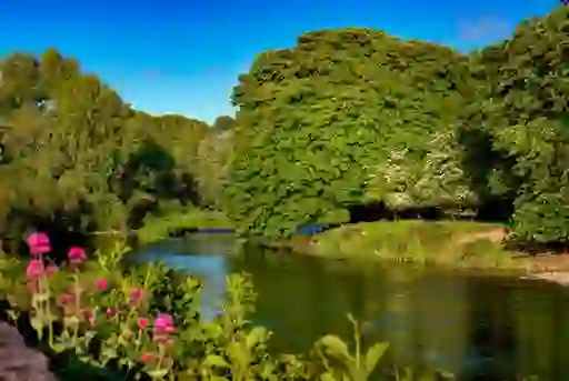 River Nore flowing past leafy trees and pink wildflowers in bloom along the banks in County Kilkenny.