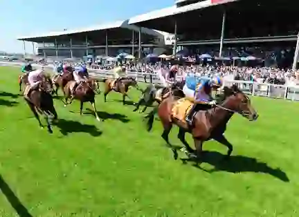 The Curragh Racecourse