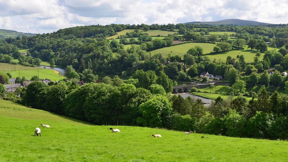 Instioge, County Kilkenny ©Shutterstock