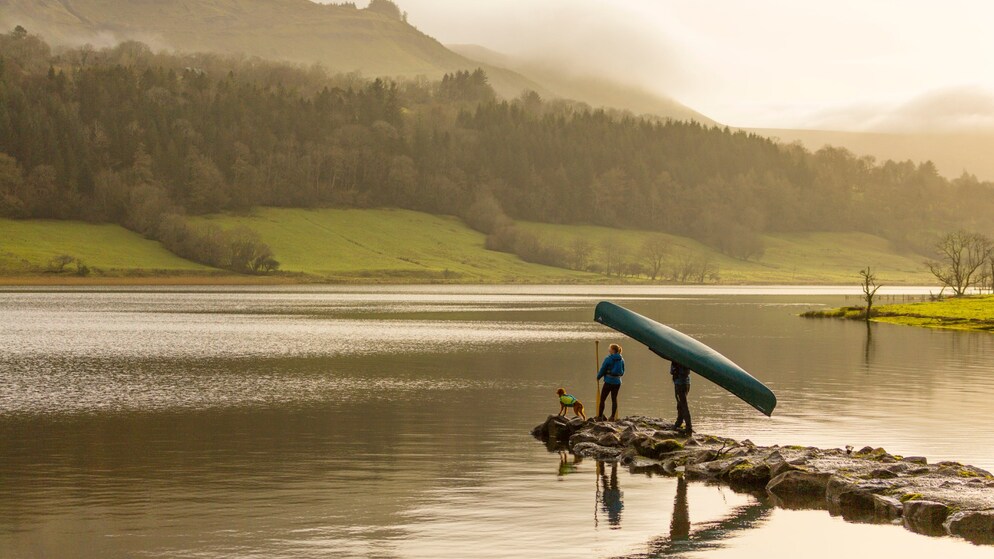 sustainable-how-to-BG-invert