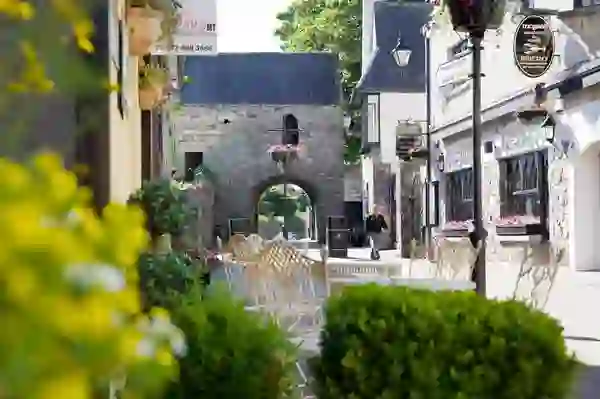 Carlingford-town-County-Louth