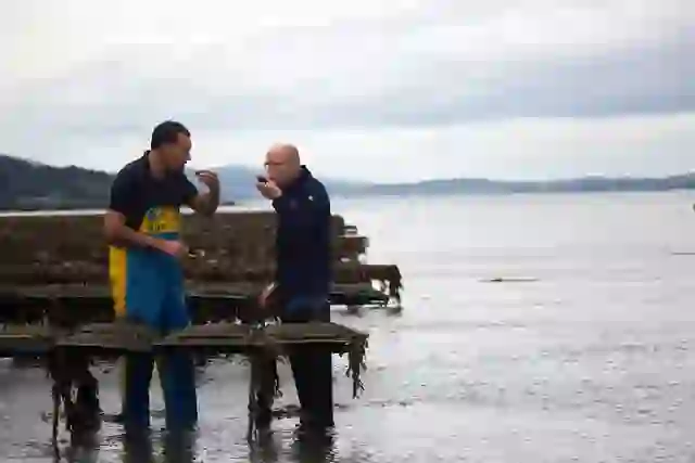 Carlingford Oyster Company, County Louth