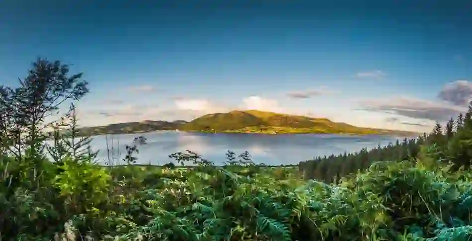 Carlingford, County Louth