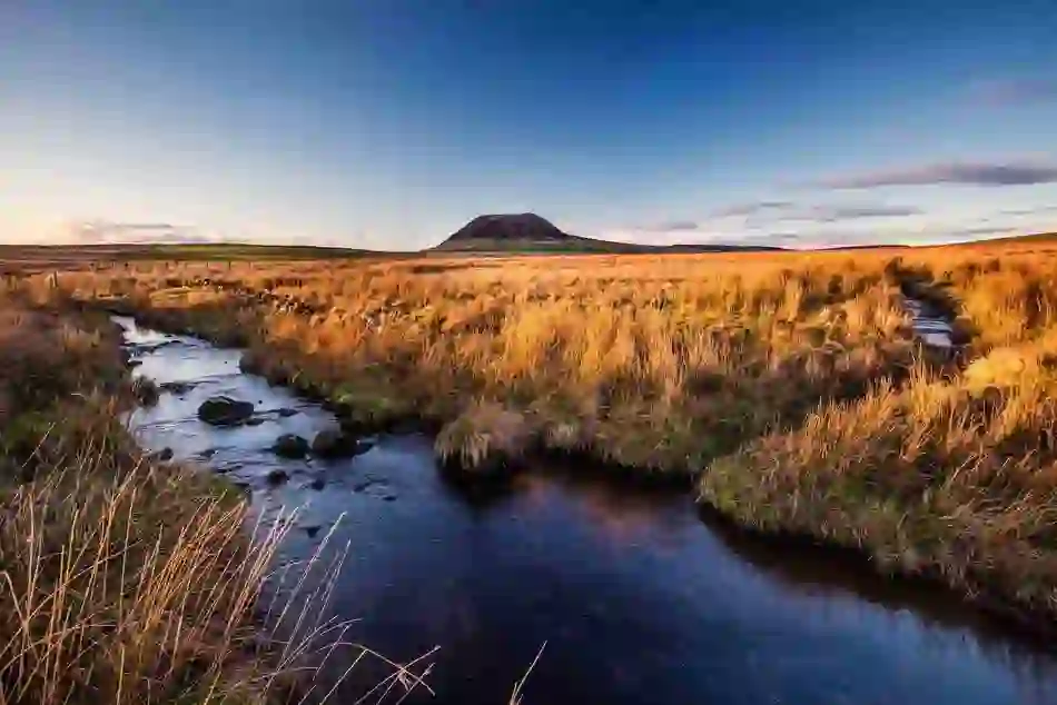 Slemish Day Two