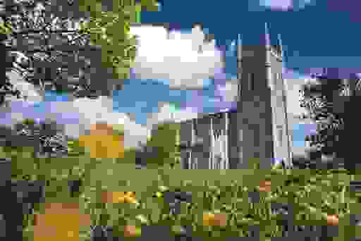 Downpatrick Cathedral framed by wildflowers and blue skies.
