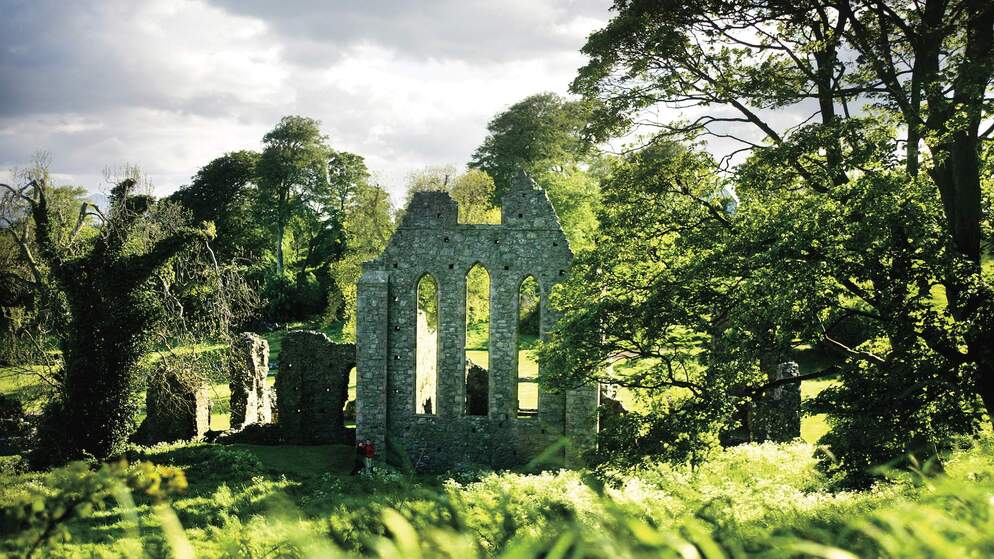 strangford-bg-inch-abbey