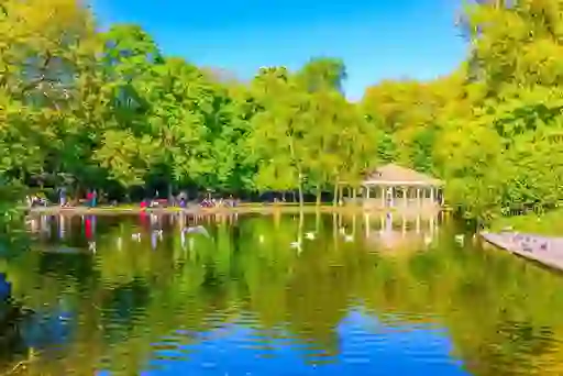 stephens-green-dublin-to-belfast-inset-5