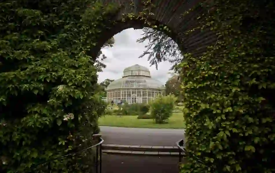 Palm House glasshouse framed by ivy-covered arch in Belfast’s Botanic Gardens.