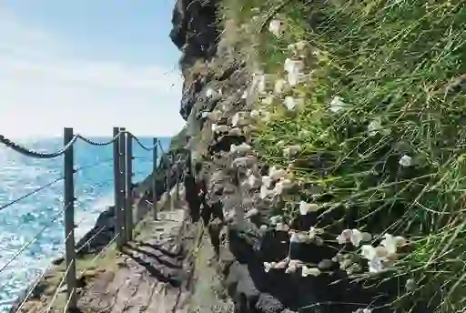 Gobbins Cliff Path, County Antrim