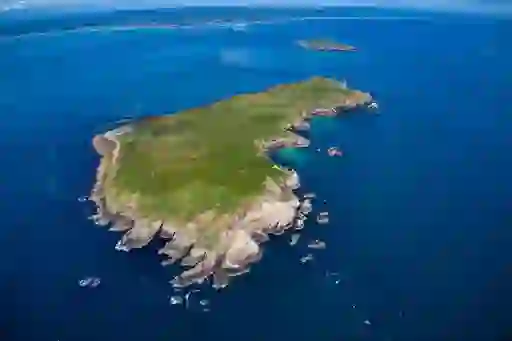 Saltee Islands, County Wexford