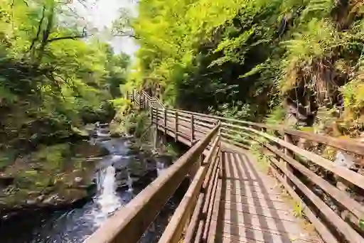 caravantrip-BGhero1-glenariffforestpark-antrim