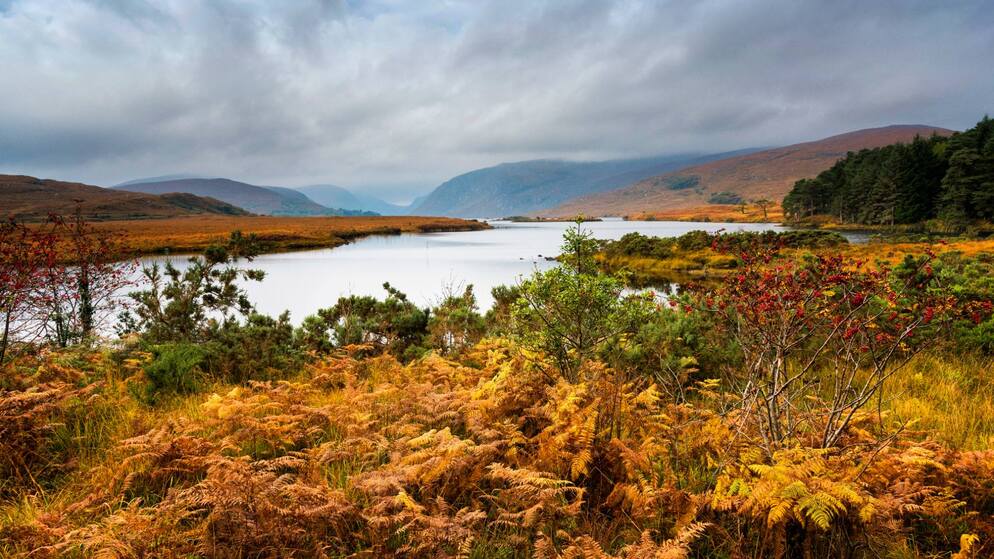 Glenveagh-caravan-BG