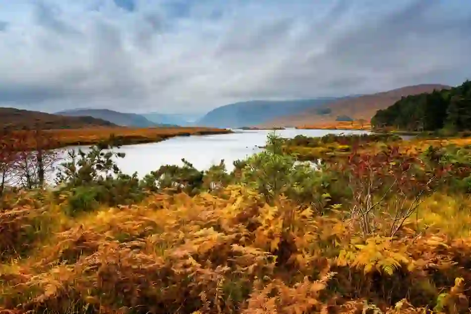 Glenveagh-caravan-BG