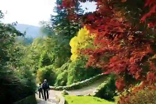 Tollymore Forest Park, County Down