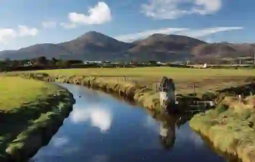 Murlough Nature Reserve, County Down