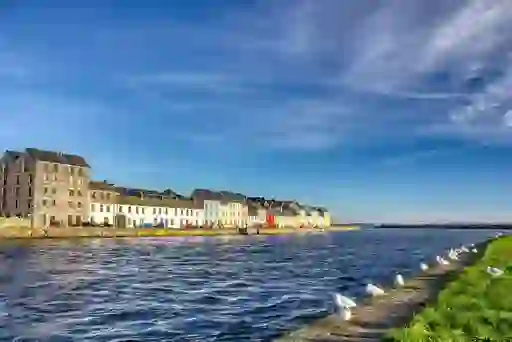 Seagulls lined along The Long Walk, Galway City, with colourful houses by the water.