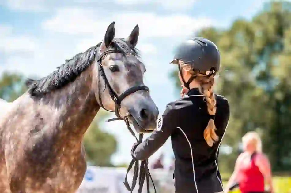 A young rider in a helmet holds the reins of a grey Connemara pony at an outdoor event.