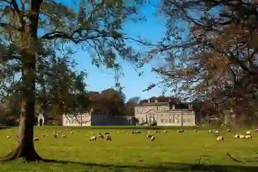 Sheep grazing on the green grounds of Russborough House in County Wicklow on a bright, clear day.