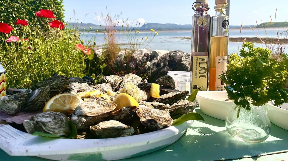 Irish oysters served with lemon beside the Atlantic Ocean on a sunny summer day.