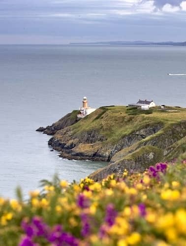 Lighthouse on a coastal headland above cliffs, with wildflowers in the foreground and sea views.