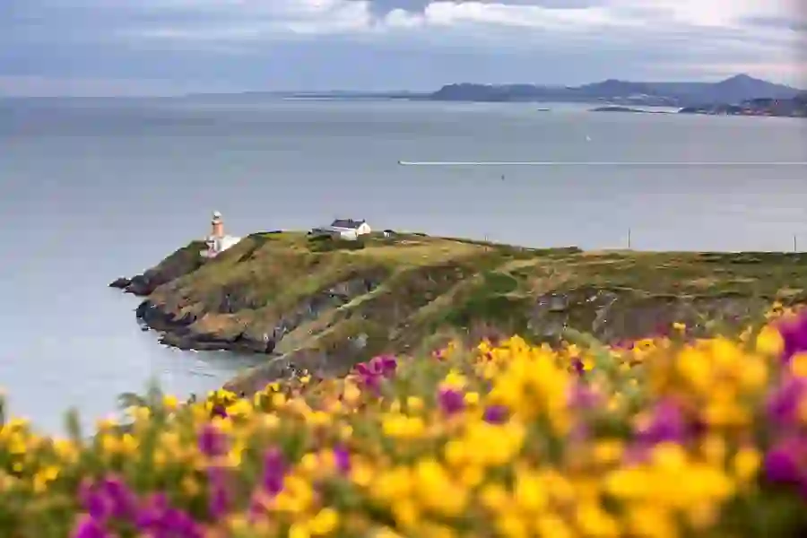 Lighthouse on a coastal headland above cliffs, with wildflowers in the foreground and sea views.