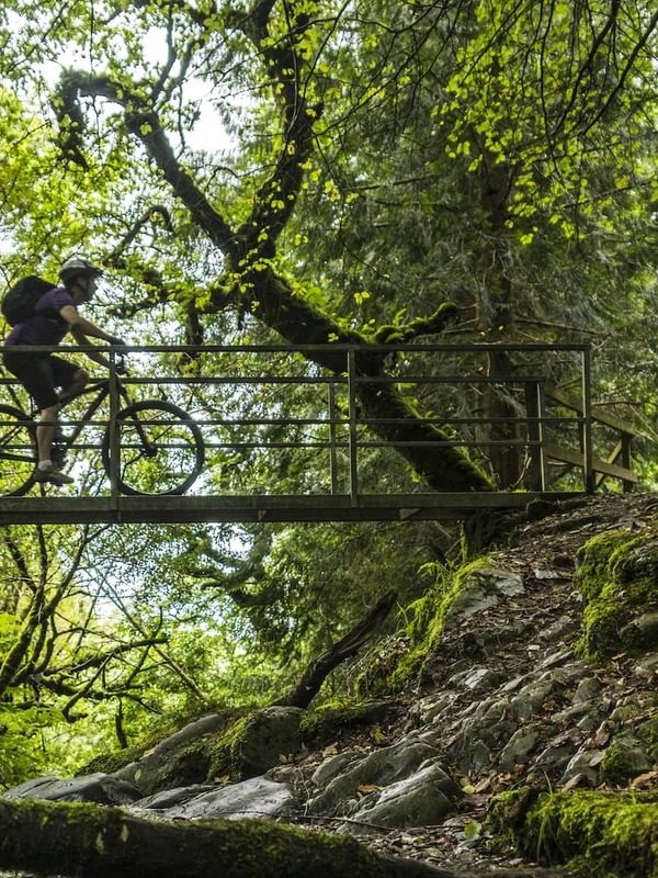 Cyclists crossing a wooden bridge on a forest trail in Ballyhoura Mountains, County Limerick.